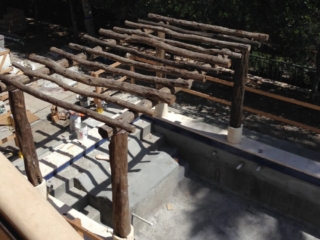 Locust Logs Pool Pergola