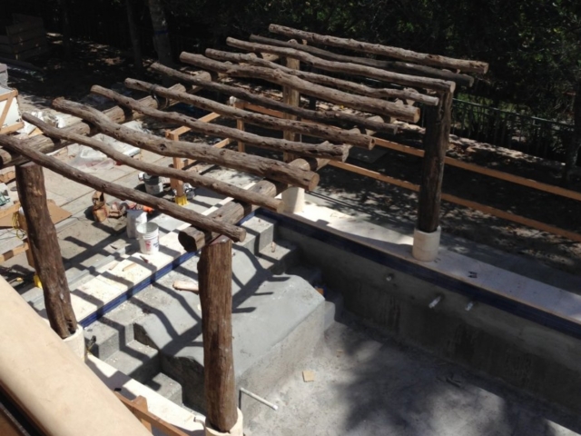 Locust Logs Pool Pergola