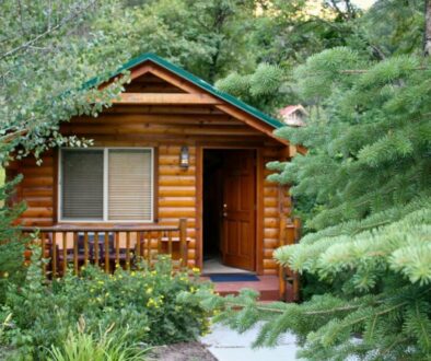 Charming finished log cabin with green roof, wooden front door open, and cozy porch surrounded by pine trees and flowers – an inviting example of log cabin kits under 5000 fully assembled.