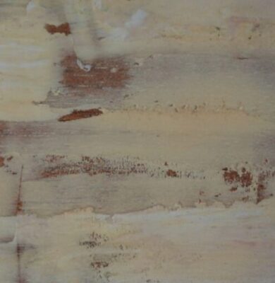 A-wood-putty What is the difference between wood putty and wood filler?