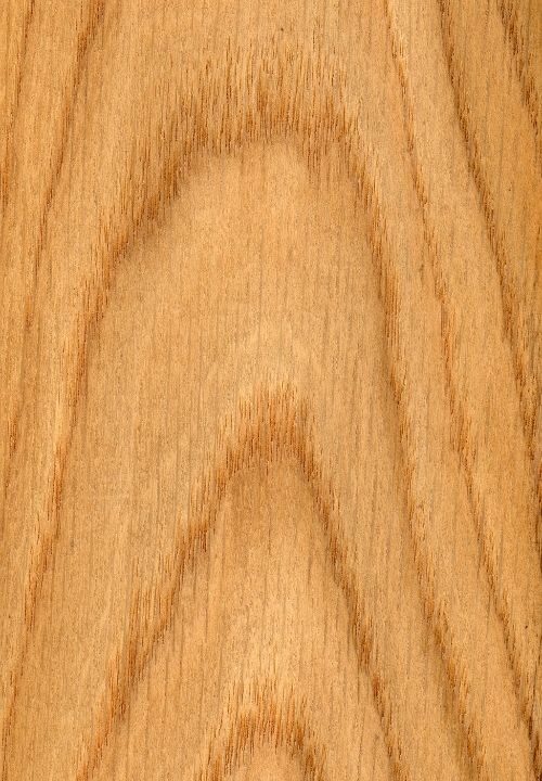 White oak wood grain up close.