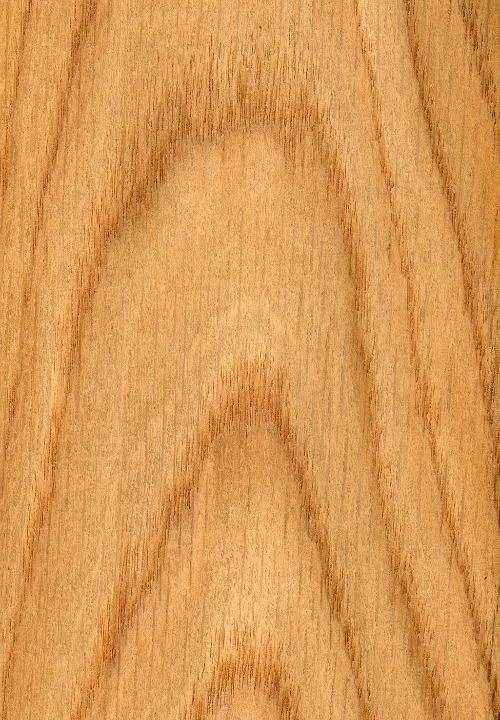 White oak wood grain up close.
