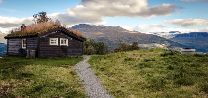 A barn wood home.