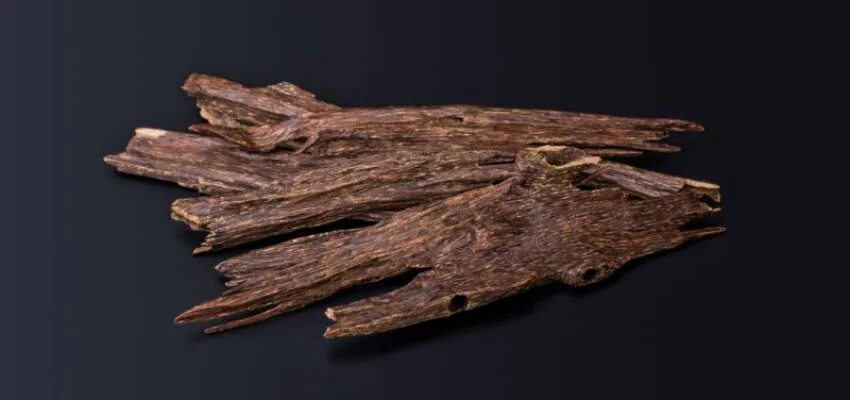 Agarwood is famous for producing tea, oil, and perfume.