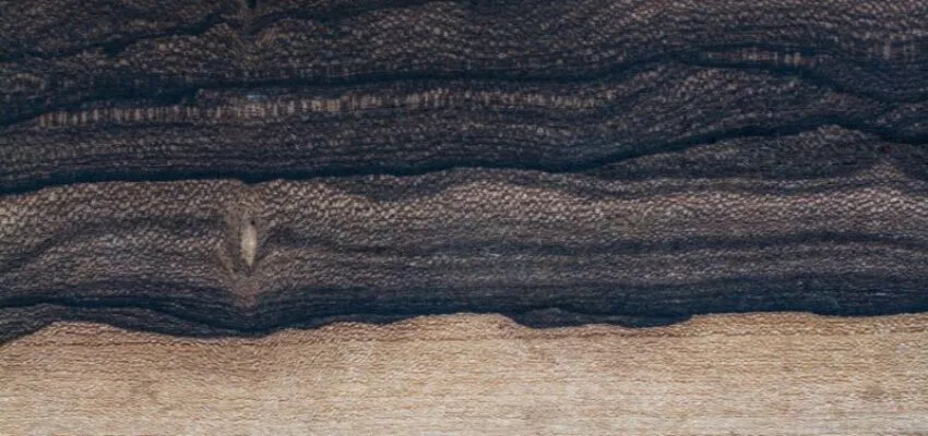 Ziricote is a rare wood from Central America known for its striking dark brown color with black streaks.