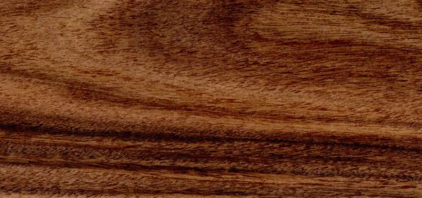 Dalbergia wood is known for its durability, density, and rarity.
