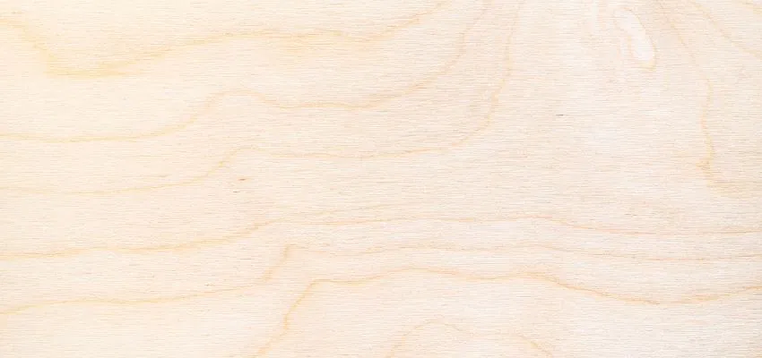 Birch as part of the wood floor colors