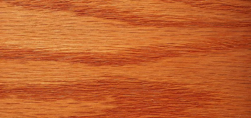 Red oak as part of the wood floor colors