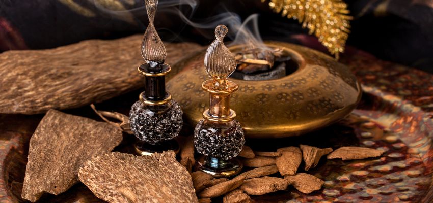 Agarwood is the most expensive tree species in the world.