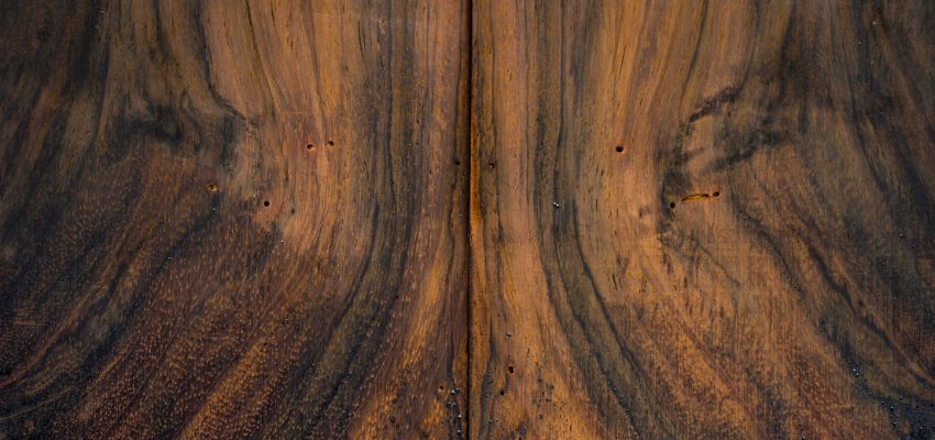 Brazilian Rosewood is one of the world’s most sought-after tonewoods.