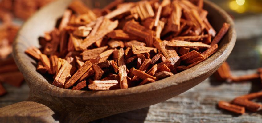 Indian Sandalwood is prized for its aromatic heartwood and essential oils, not its lumber.