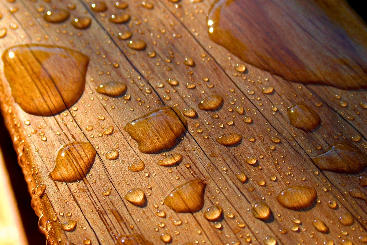 Water droplets beading on treated water resistant wood, showing effective moisture protection.