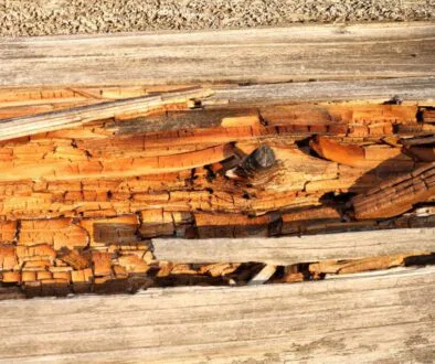 Wood rot is often a hidden threat within homes, silently affecting the structure without notice.