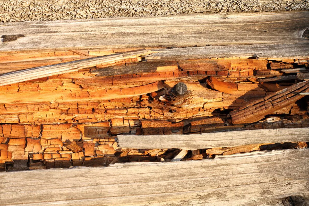 Wood rot is often a hidden threat within homes, silently affecting the structure without notice.