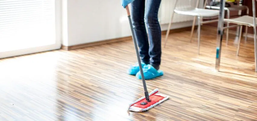 Wipe up spills promptly to prevent water damage and staining.