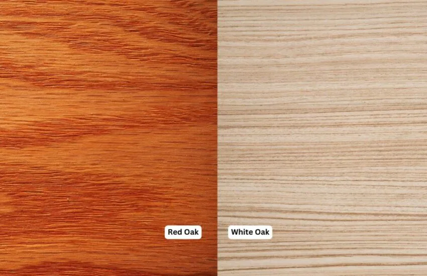 The red oak wood and white oak wood.