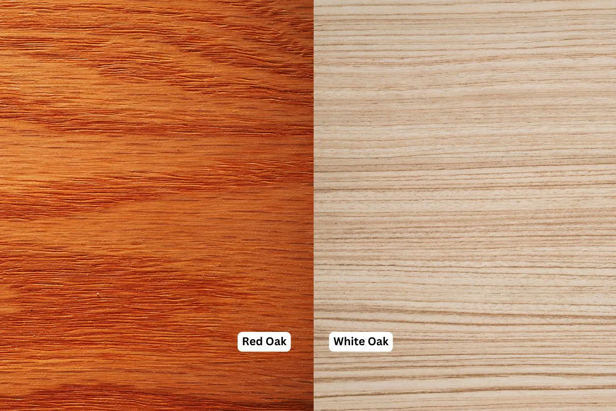 The red oak wood and white oak wood.