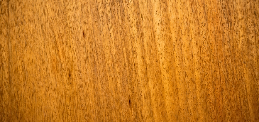Close-up of smooth mango wood grain with rich golden-brown tones and natural texture.