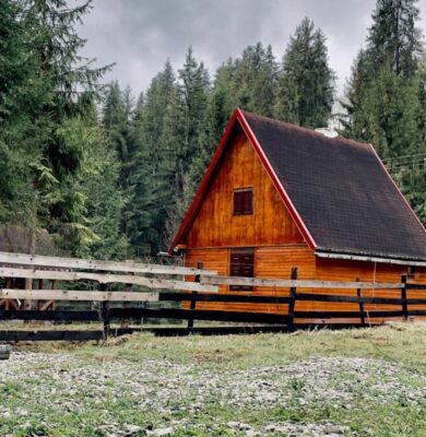 A modern timber frame cabin surrounded by nature.