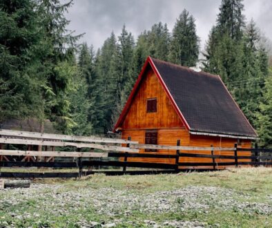 A modern timber frame cabin surrounded by nature.