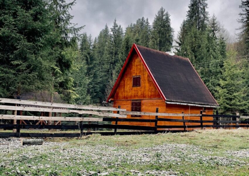 A modern timber frame cabin surrounded by nature.