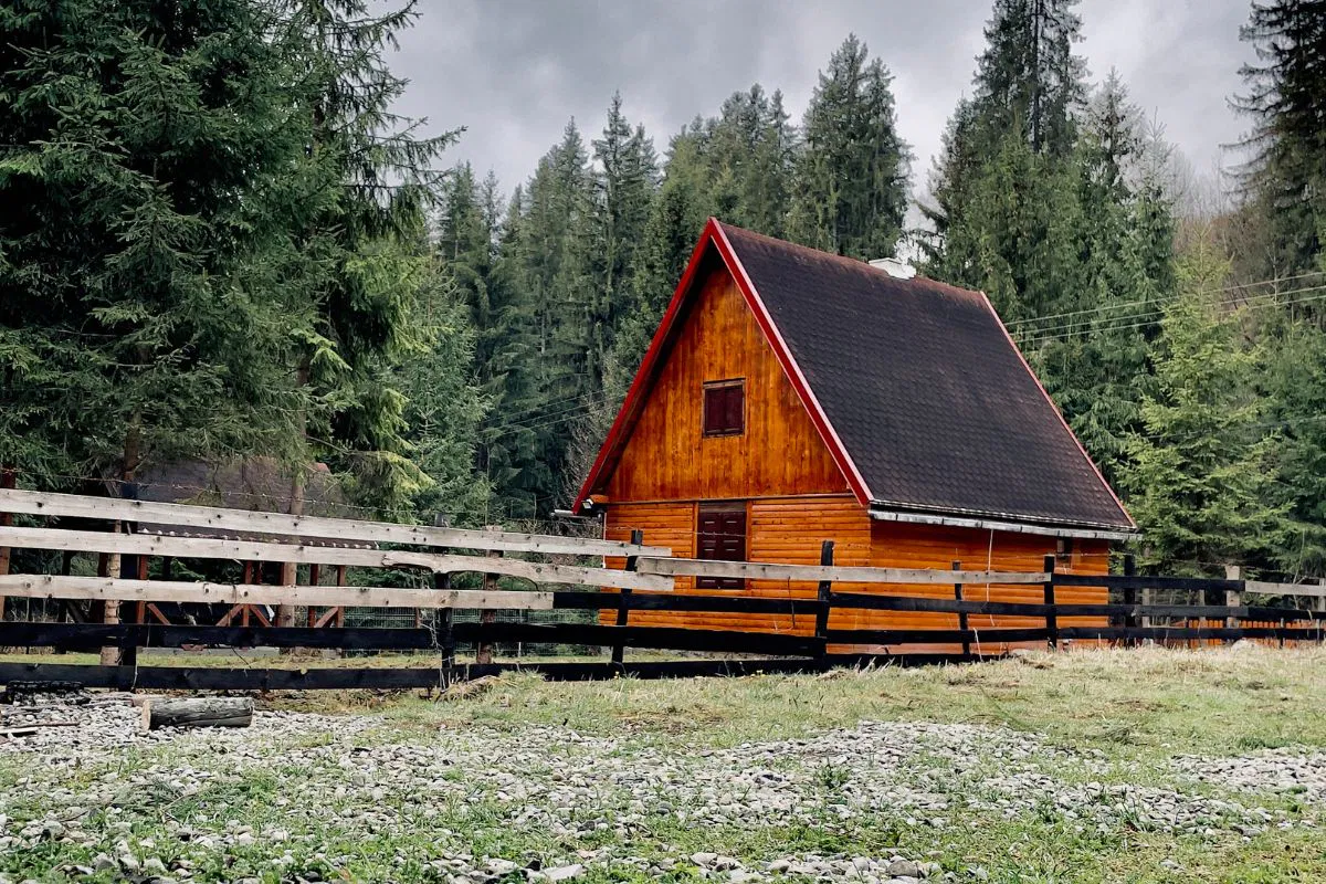 A modern timber frame cabin surrounded by nature.