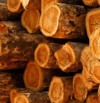 A comparison of acacia wood vs teak wood with a close-up photo of a pile of teak timber.