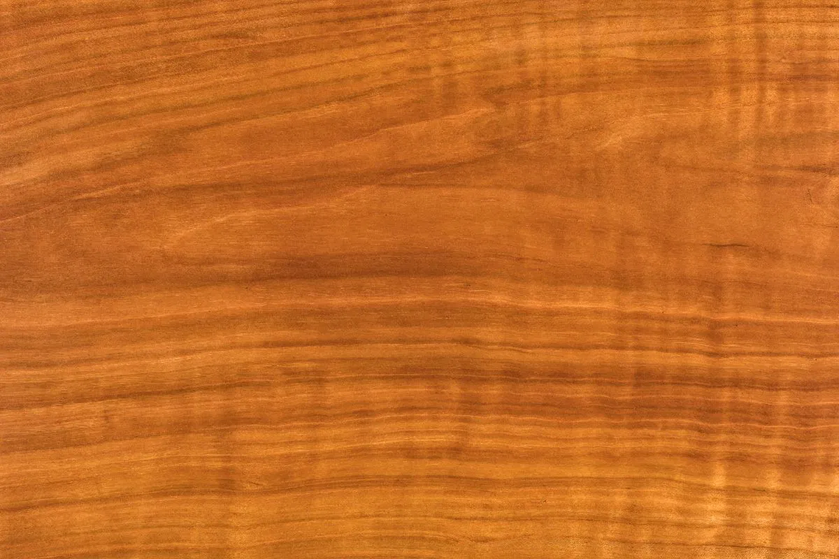 cherry wood (3) A Cherry wood.