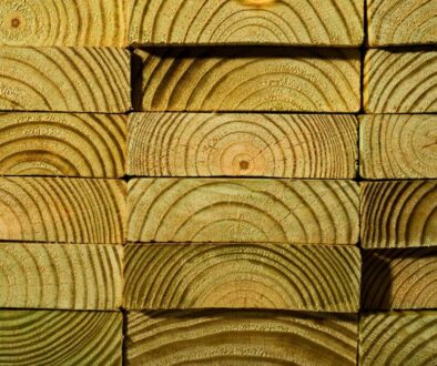 Detailed view of stacked untreated wood showing beautiful growth rings and natural grain patterns.