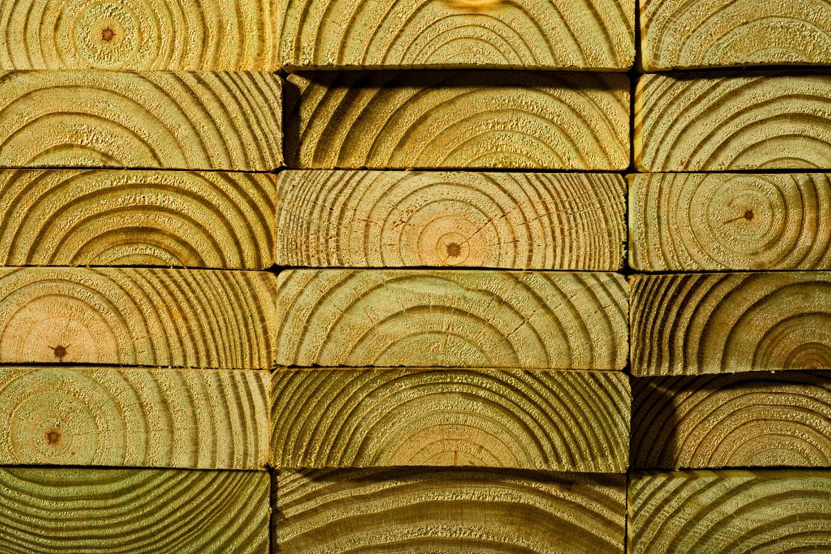 Detailed view of stacked untreated wood showing beautiful growth rings and natural grain patterns.