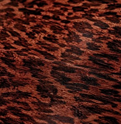 Close-up of the unique spotted grain pattern that defines premium snakewood.