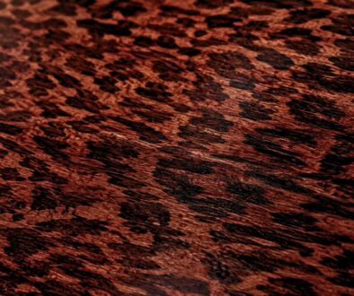Close-up of the unique spotted grain pattern that defines premium snakewood.
