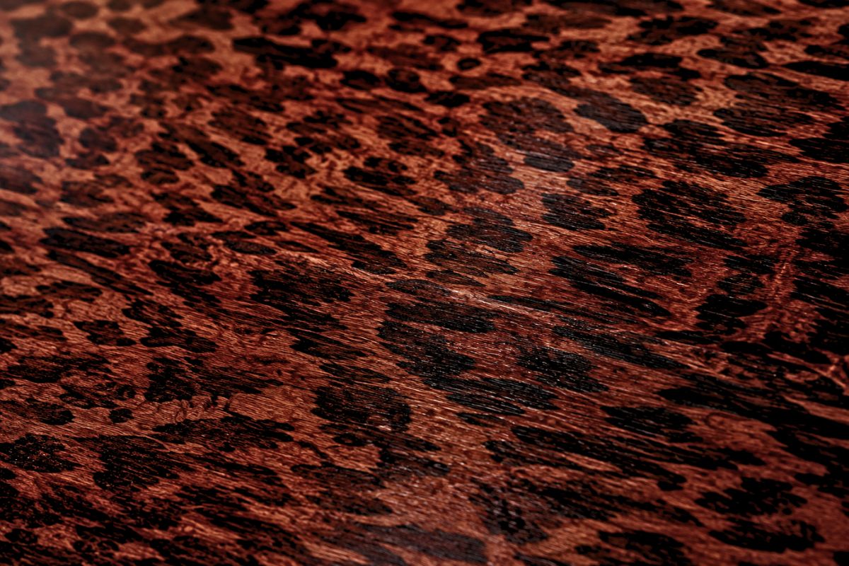 Close-up of the unique spotted grain pattern that defines premium snakewood.