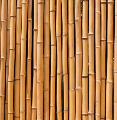 Dense bamboo poles used as a barrier, demonstrating why people ask is bamboo strong.