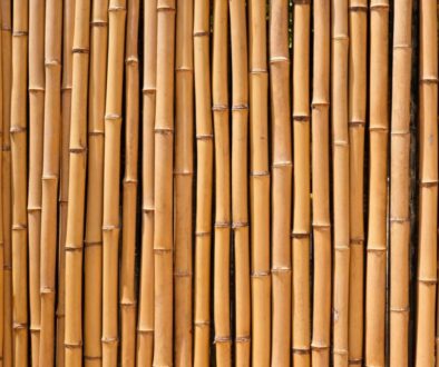 Dense bamboo poles used as a barrier, demonstrating why people ask is bamboo strong.